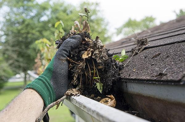 regular gutter cleaning can remove debris that attracts pests such as mosquitoes, ants, and rodents